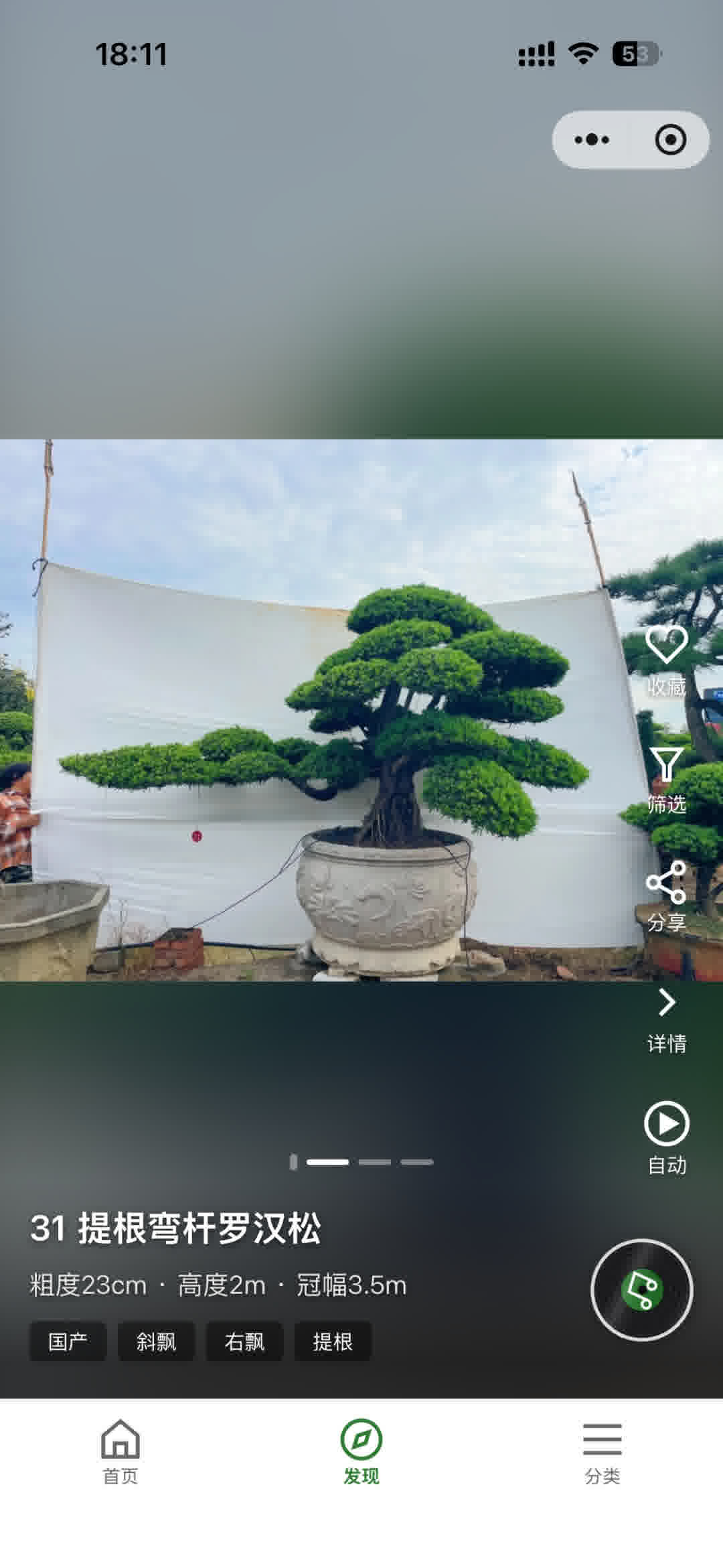 发现页：上下滑动浏览苗木实拍图片和视频