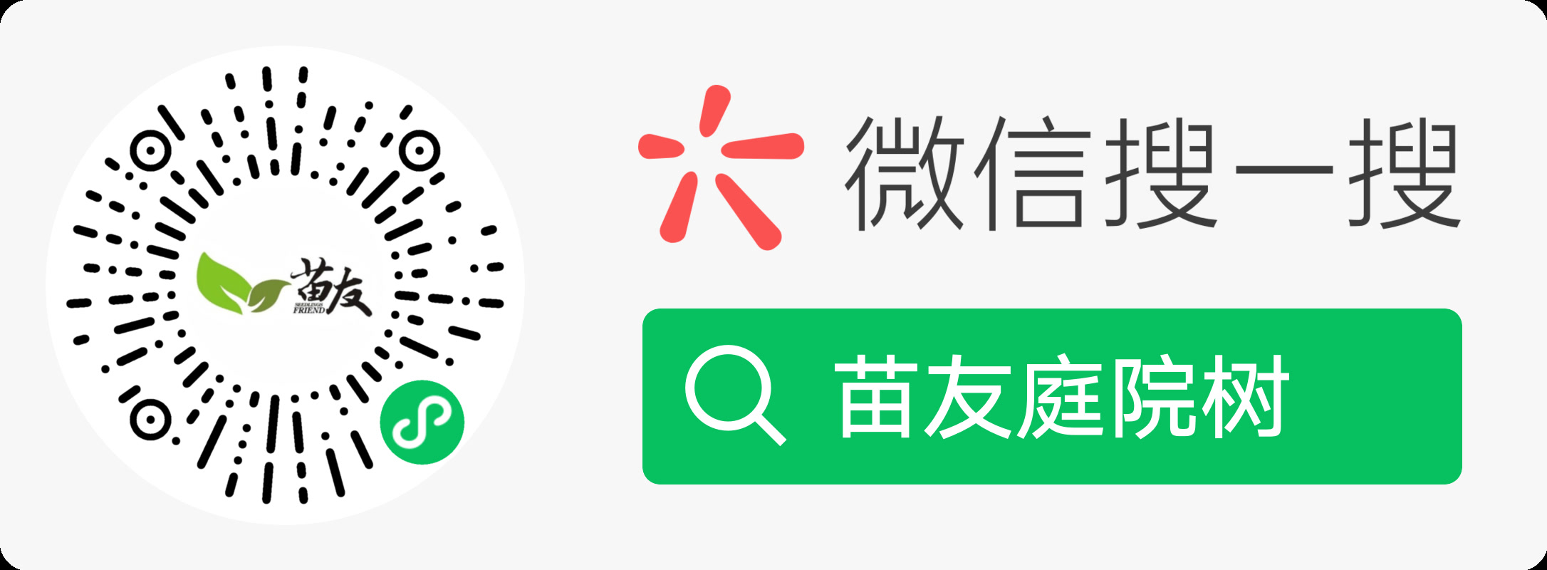 微信搜一搜：苗友庭院树，或扫描左侧小程序码